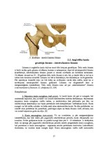Research Papers 'Fizioterapija pēc augšstilba kaula lūzuma', 17.