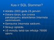 Presentations 'Mazizmēra datortārps "SQL Slammer"', 2.
