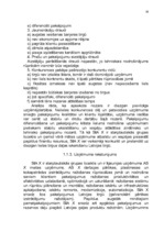 Research Papers 'Uzņēmuma organizatoriskās struktūras konversija', 19.