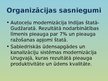 Presentations 'Daudzlīmeņu investīciju un garantiju aģentūra', 11.