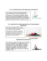 Summaries, Notes 'Postizometriskās relaksācijas metode', 4.