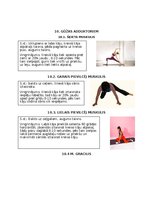 Summaries, Notes 'Postizometriskās relaksācijas metode', 5.