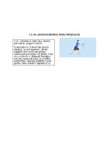 Summaries, Notes 'Postizometriskās relaksācijas metode', 7.