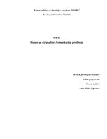 Research Papers 'Bizness un starpkultūras komunikācijas problēmas', 1.