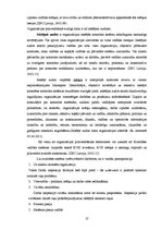 Term Papers 'Valsts Darba inspekcijas darbības analīze. Zemgales reģiona piemērs', 22.