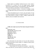 Practice Reports 'Profesionālās prakses atskaite', 17.