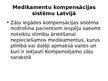 Presentations 'Veselības aprūpes politika Latvijā un Eiropā', 28.