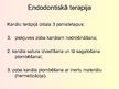 Presentations 'Stomatoloģija. Endodontijas ierīces', 6.