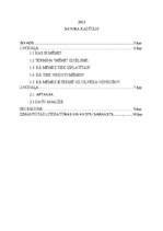 Research Papers 'Interneta mēmu ietekme uz TikTok lietotājiem vecumā no 16 līdz 19 gadiem', 2.