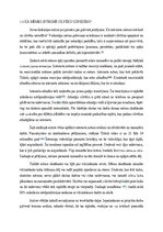 Research Papers 'Interneta mēmu ietekme uz TikTok lietotājiem vecumā no 16 līdz 19 gadiem', 7.