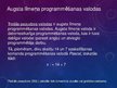 Presentations 'Programmēšanas valodu iedalījums un attīstības vēsture', 12.