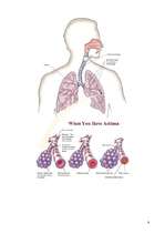 Research Papers 'Gāzu maiņas traucējumi un plaušu slimības', 8.