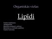 Presentations 'Lipīdi', 1.