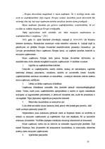 Term Papers 'Mazo un vidējo uzņēmumu attīstība Latvijā (2002.-2005.g.)', 18.
