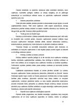 Term Papers 'Mazo un vidējo uzņēmumu attīstība Latvijā (2002.-2005.g.)', 19.
