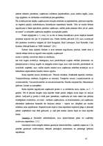 Term Papers 'Mazo un vidējo uzņēmumu attīstība Latvijā (2002.-2005.g.)', 65.