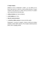 Summaries, Notes 'Benzodiazepīni medicīnā: trauksmes un miega traucējumu terapija starp efektivitā', 13.