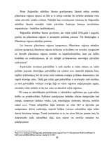 Research Papers 'E-pārvalde Latvijas pašvaldībās', 12.