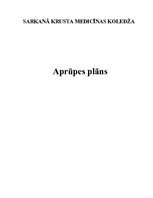Practice Reports 'Aprūpes plāns', 1.