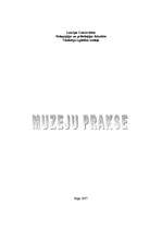 Practice Reports 'Muzeju analīze', 1.