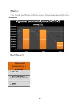Research Papers 'Исследование рынка рекламных услуг Латвии 2008-2009', 20.