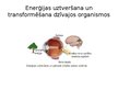 Presentations 'Efektīvs un videi draudzīgs enerģijas lietojums', 10.