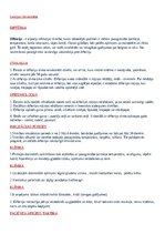 Summaries, Notes 'Difterija', 1.