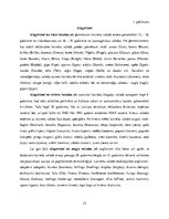 Research Papers 'Valodas mainīgums un attīstība', 15.