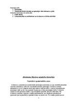 Research Papers 'Socializācijas process', 3.
