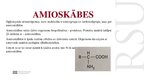 Presentations 'Aminoskābe - leicīns', 2.