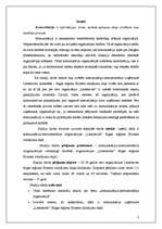 Research Papers 'Komunikācija - instrumentārijs organizācijas veiksmīgā darbībā', 2.