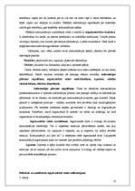 Research Papers 'Komunikācija - instrumentārijs organizācijas veiksmīgā darbībā', 13.
