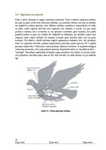 Research Papers 'Putnu uzbūve un dzīvības procesi', 10.