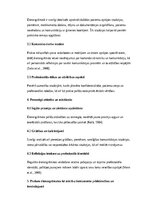 Essays 'Prakses dienasgrāmata māszinībās: profesionālās pieredzes analīze un personīgās ', 2.