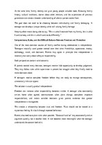 Essays 'The importance of family in a teenager’s life', 4.