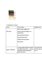 Samples 'Augsnes veidošanās', 4.