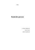Research Papers 'Kontroles process', 1.