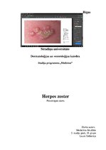 Research Papers 'Jostas roze', 1.