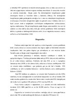 Research Papers 'Jostas roze', 6.