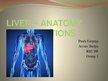 Presentations 'Liver - Anatomy and Functions', 1.