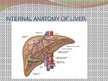 Presentations 'Liver - Anatomy and Functions', 6.