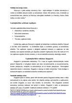 Research Papers 'Starptautiskas holdinga kompānijas modeļa struktūras izstrāde', 15.