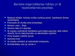 Presentations 'Banketa organizēšana "Lido"', 2.