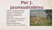 Presentations 'Jāņa Jaunsudrabiņa vaļasprieki', 3.