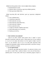 Practice Reports 'Organizācijas mērķauditorijas un to segmentēšana', 3.