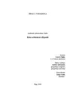 Research Papers 'Koka arhitektūra Ķīpsalā', 1.