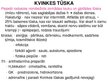 Presentations 'Akūta pulmonoloģija', 17.