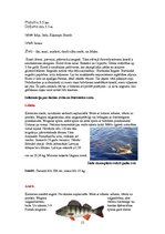 Research Papers 'Latvijas upes un zivis tajās', 12.