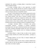 Essays 'Socioloģija', 3.