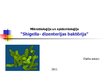 Presentations 'Shigella - dizentērijas baktērija', 1.